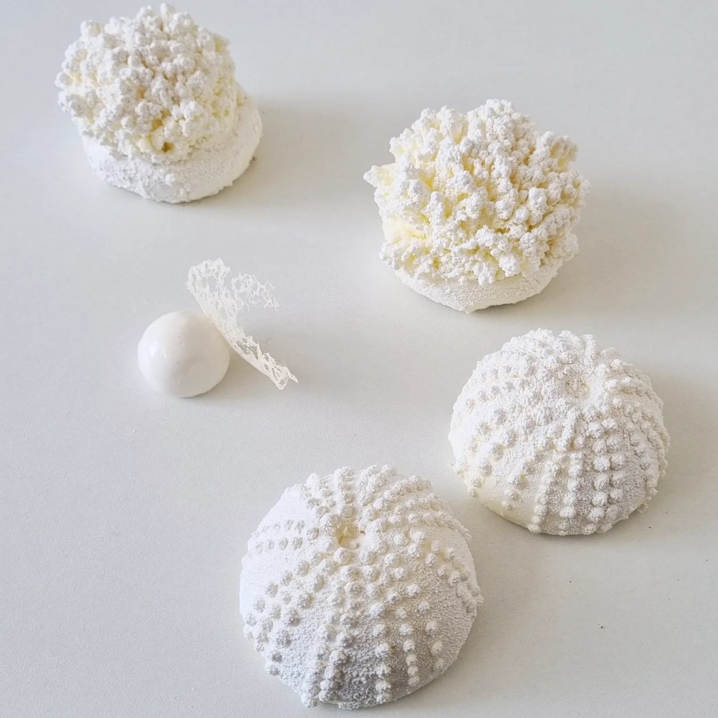 coral plated dessert