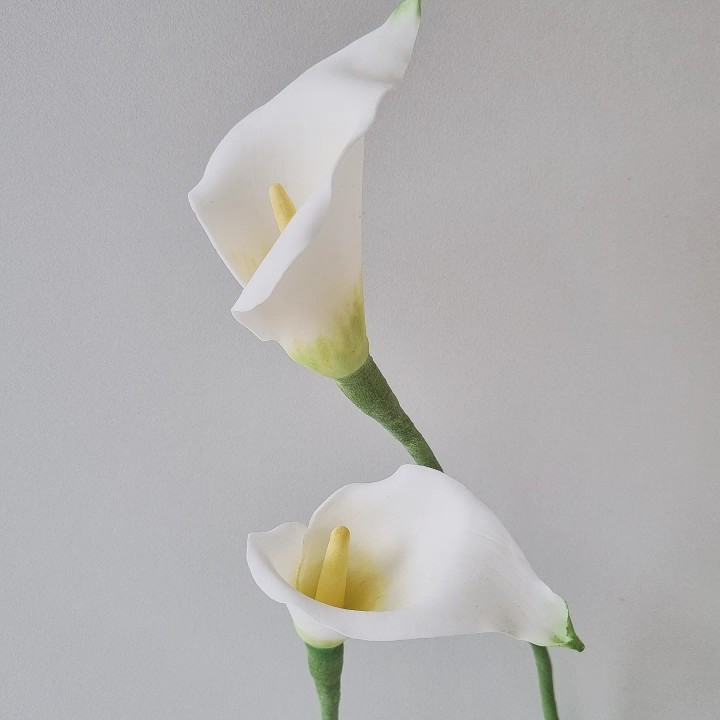 edible calla's